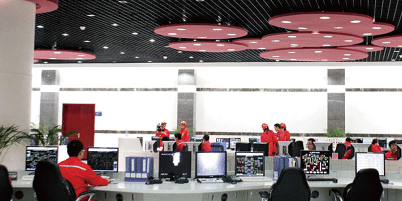 普光气田d 普光气田d