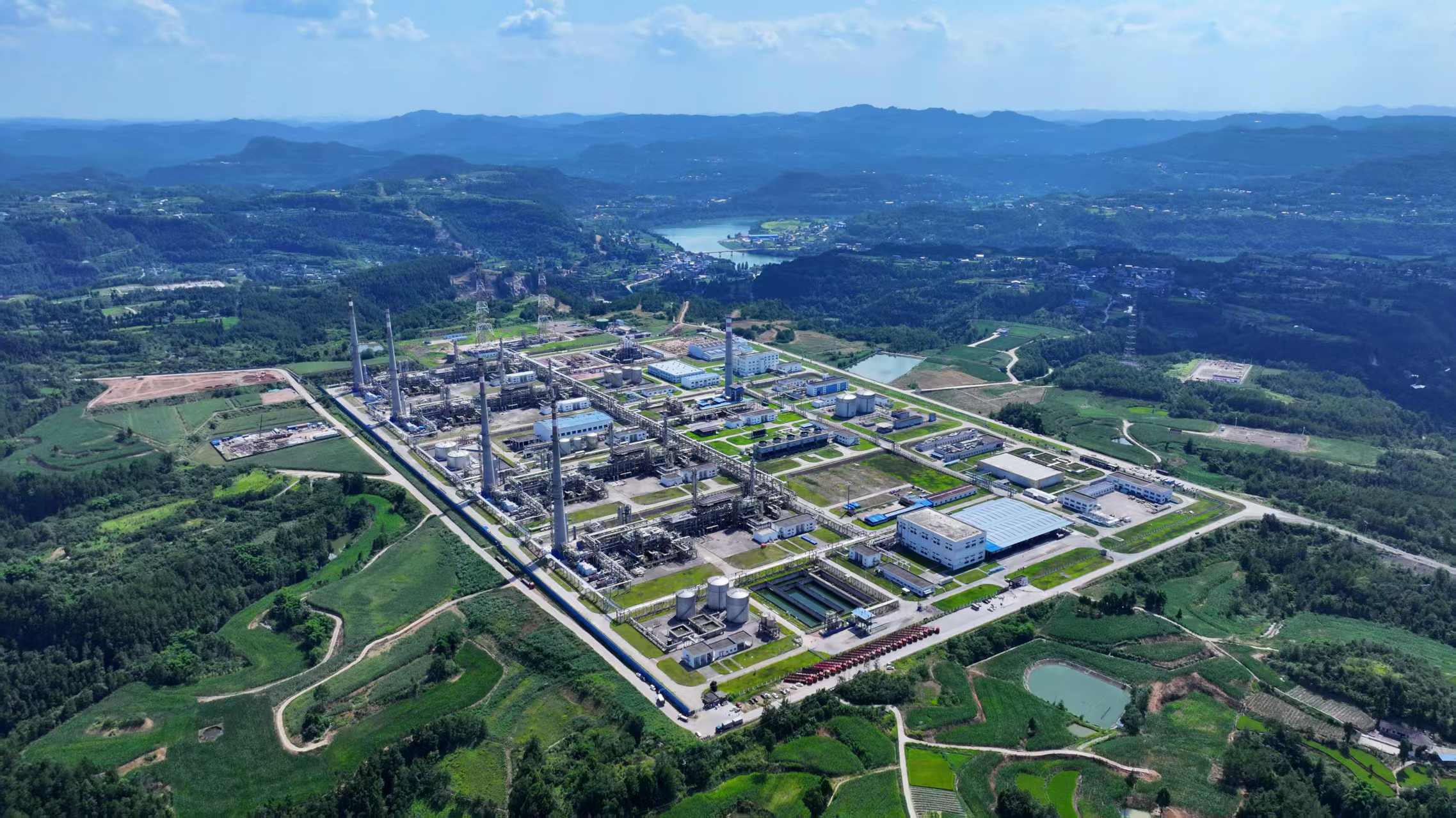 2025年2月新图3 2025年2月新图3