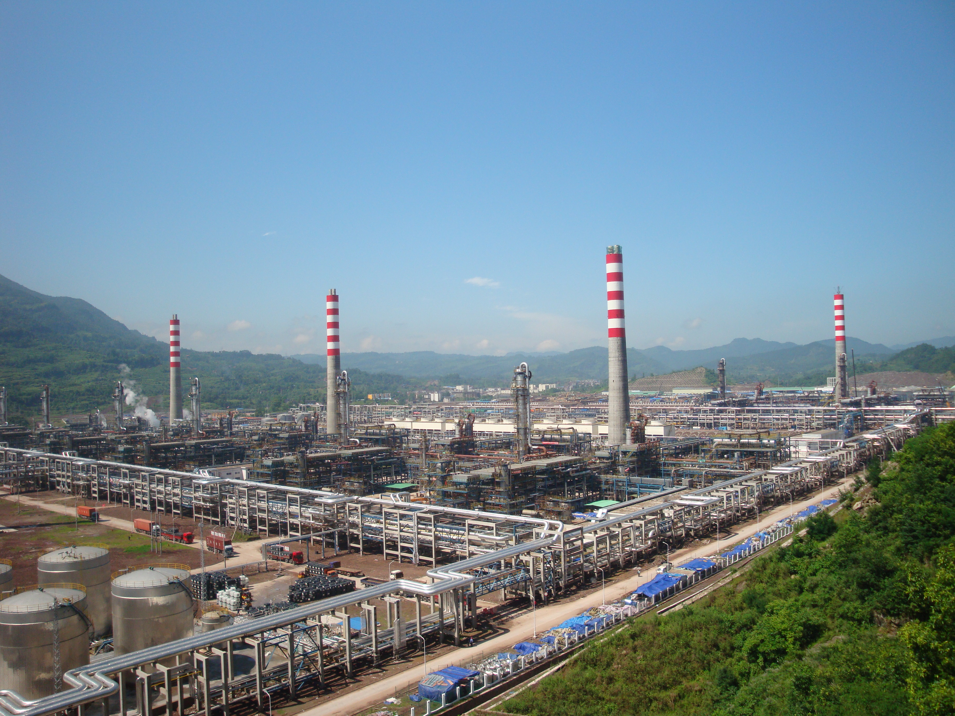 20090820151444-DSC04435 20090820151444-DSC04435